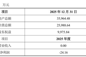 4.1亿，半导体教父“吞下”破产光伏企业