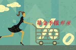 什么是ETF基金及其投资策略？