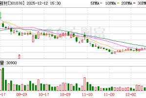新瀚新材：变更签字注册会计师为田业阳和陆苏敏