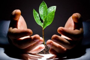 重疾险保费为什么逐年增加？