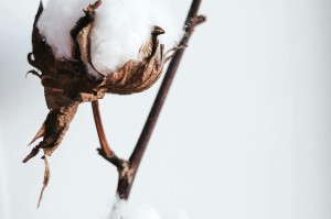 期货基差变化会影响交割价吗？