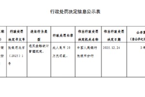 张掖农村商业银行被罚20万元：违反金融统计管理规定