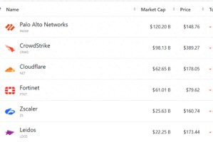 私募巨头高管直言行业风险管理失灵：三年前就该看到软件泡沫
