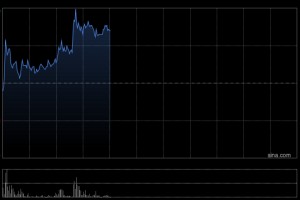 狮腾控股早盘涨超6% 公司称将推出经验证的电商AI助理