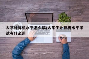 大学计算机水平怎么填/大学生计算机水平考试有什么用