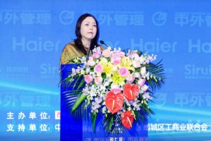 中小企业协会马彬：促进产业与金融畅通循环，是破解中小企业融资难题的主要手段