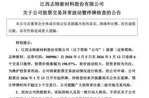 “20CM”6连板，今年最牛股，明起停牌核查！